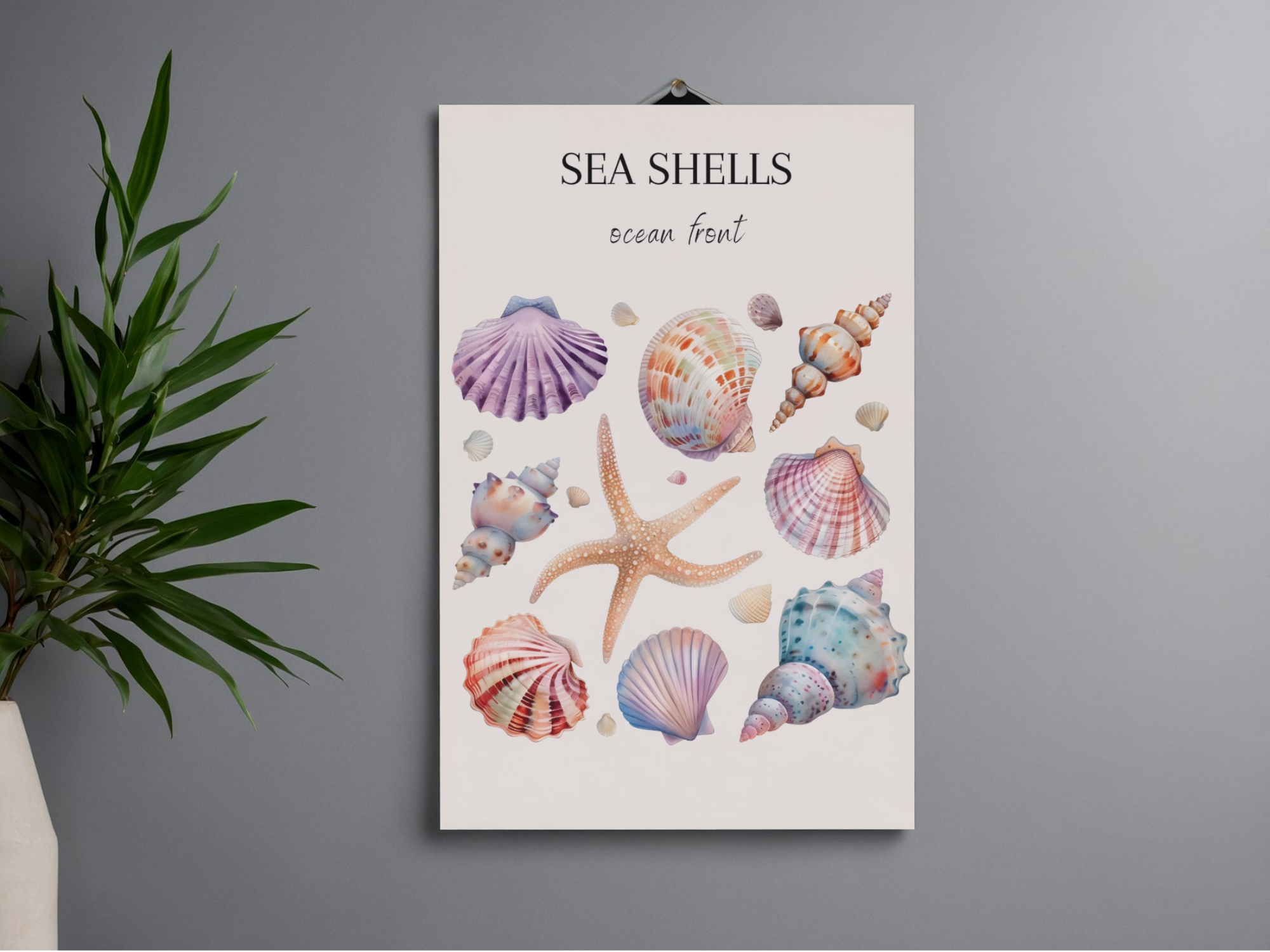 Lámina/Poster decorativa Sea Shells